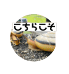 愉快な仲間達！2（個別スタンプ：19）