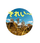 愉快な仲間達！2（個別スタンプ：20）