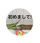 愉快な仲間達！2（個別スタンプ：21）