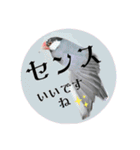 桜文鳥わすけ かしこまりわす【改訂版】（個別スタンプ：16）