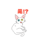 シロネコさんスタンプ（個別スタンプ：3）