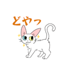 シロネコさんスタンプ（個別スタンプ：5）