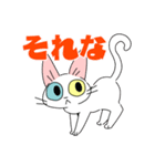 シロネコさんスタンプ（個別スタンプ：6）