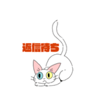シロネコさんスタンプ（個別スタンプ：16）