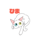 シロネコさんスタンプ（個別スタンプ：17）