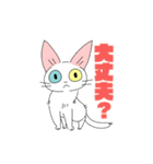 シロネコさんスタンプ（個別スタンプ：20）