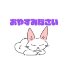 シロネコさんスタンプ（個別スタンプ：21）