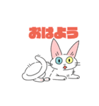 シロネコさんスタンプ（個別スタンプ：22）