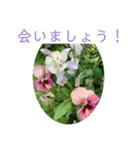 春の花に会えた！（個別スタンプ：5）