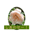 春の花に会えた！（個別スタンプ：11）