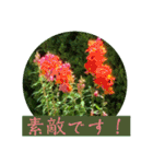 春の花に会えた！（個別スタンプ：19）