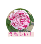 春の花に会えた！（個別スタンプ：21）