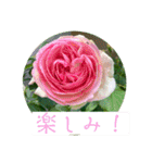 春の花に会えた！（個別スタンプ：22）