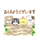 猫と仲間達♡日常（個別スタンプ：1）