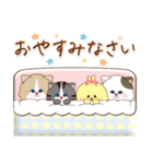 猫と仲間達♡日常（個別スタンプ：6）