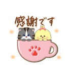 猫と仲間達♡日常（個別スタンプ：11）