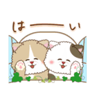 猫と仲間達♡日常（個別スタンプ：15）