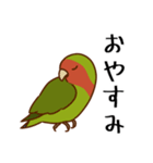 荒ぶるコザクラインコたち（個別スタンプ：6）