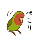 荒ぶるコザクラインコたち（個別スタンプ：7）