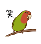 荒ぶるコザクラインコたち（個別スタンプ：10）