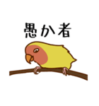 荒ぶるコザクラインコたち（個別スタンプ：11）