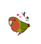 荒ぶるコザクラインコたち（個別スタンプ：17）