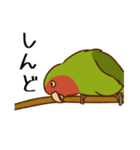 荒ぶるコザクラインコたち（個別スタンプ：19）