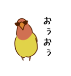 荒ぶるコザクラインコたち（個別スタンプ：25）