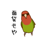 荒ぶるコザクラインコたち（個別スタンプ：26）