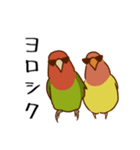 荒ぶるコザクラインコたち（個別スタンプ：27）