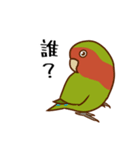 荒ぶるコザクラインコたち（個別スタンプ：29）