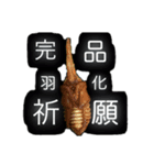 beetle stamp（個別スタンプ：1）