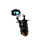 beetle stamp（個別スタンプ：4）