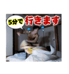 マッスルプラス ver.2（個別スタンプ：18）