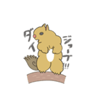 ムキりす（個別スタンプ：5）