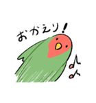 日常使える！コザクラインコ（ノーマル）（個別スタンプ：16）