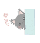 ちわわねこ♡（個別スタンプ：10）