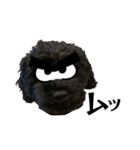 黒トイプードル代表4（個別スタンプ：7）