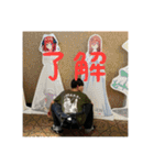 RT 西脇シャークス（個別スタンプ：3）