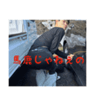RT 西脇シャークス（個別スタンプ：9）