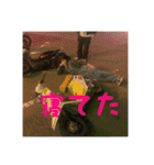 RT 西脇シャークス（個別スタンプ：19）