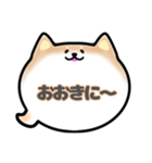 柴犬吹き出しスタンプ大阪弁女性版001（個別スタンプ：12）