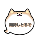 柴犬吹き出しスタンプ大阪弁女性版001（個別スタンプ：19）