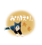 おはぎとおちょこ。（個別スタンプ：4）