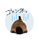 おはぎとおちょこ。（個別スタンプ：7）