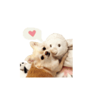 ペムちゃん（個別スタンプ：8）