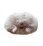 のびまろでち。（個別スタンプ：1）