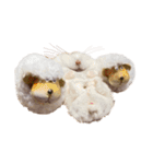 のびまろでち。（個別スタンプ：2）