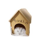 のびまろでち。（個別スタンプ：8）