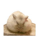 のびまろでち。（個別スタンプ：17）